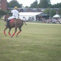 Stockholm Polo 2009