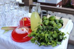 11637919_10153117288223292_1415321871_n