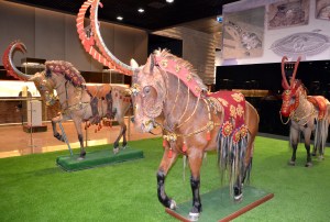 National symbol of Kazakhstan