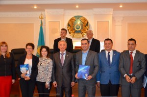 The Supreme court and the Constitutional Council