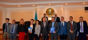 The Supreme court and the Constitutional Council