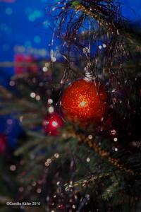 12218176_10153790267864198_472504994_o