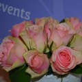 DSC_0087