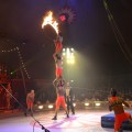 Circus nummer i manegen