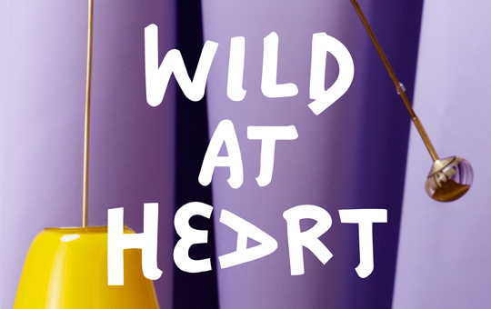 WildAtHeart-ColdAndBold-image