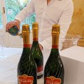 IMG_20260529_203327